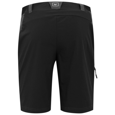 Herrenshorts Regatta Eldes Shorts
