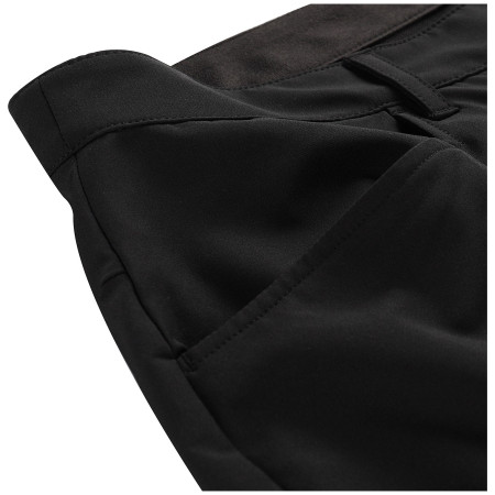 Herrenshorts Alpine Pro Bak 2