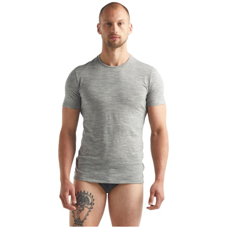 Herren-T-Shirt Icebreaker M Anatomica SS Crewe