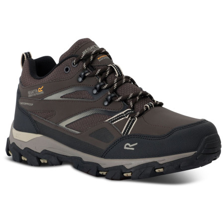 Herrenschuhe Regatta Holcombe 3 Low