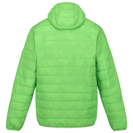 Herren-Winterjacke Regatta Hooded Hillpack