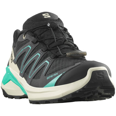 Damen Wanderschuhe Salomon Examotion Gore-Tex
