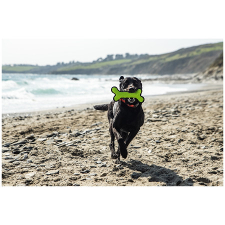 Hundespielzeug Mountain Paws Rubber Bone Dog Toy