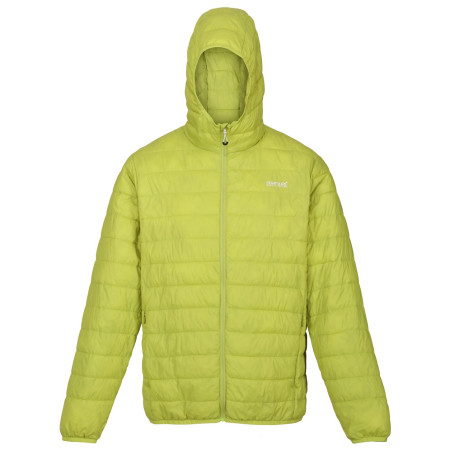 Herren-Winterjacke Regatta Hooded Hillpack dunkelgrün Green Algae