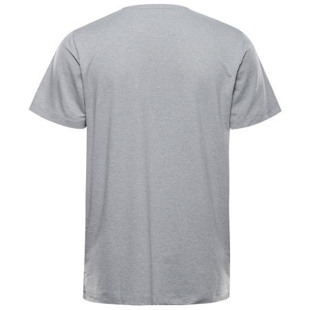 Herren T-Shirt Alpine Pro Goraf 2