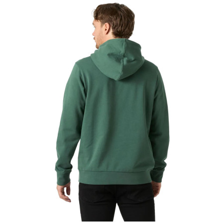 Herren-Sweatshirt Helly Hansen Core Graphic Hoodie