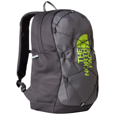 Schulrucksack für Oberstufe The North Face Y Court Jester