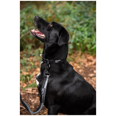 Hundehalsband Mountain Paws Extra Tough Dog Collar