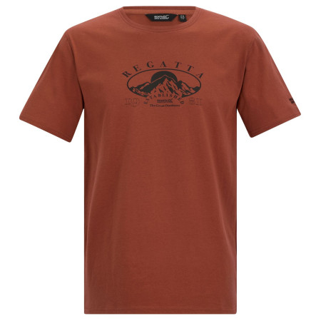 Herren-T-Shirt Regatta Cline IX braun Brick