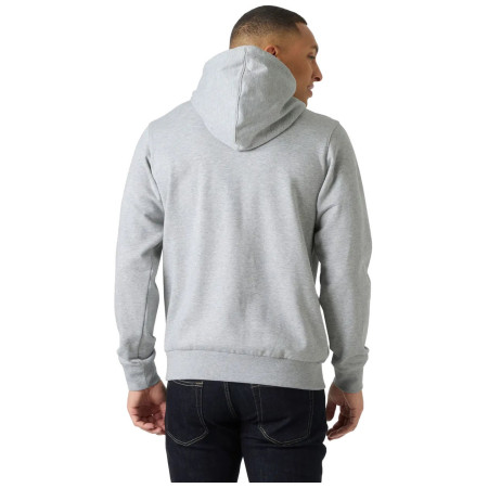 Herren-Sweatshirt Helly Hansen Core Graphic Hoodie