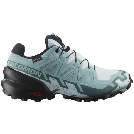 Damenschuhe Salomon Speedcross 6 Gore-Tex