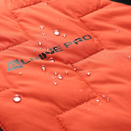 Herren-Sweatshirt Alpine Pro Jorw