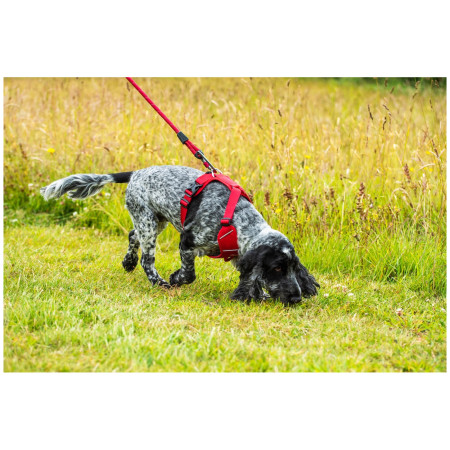 Hundegeschirr Mountain Paws Dog Harness
