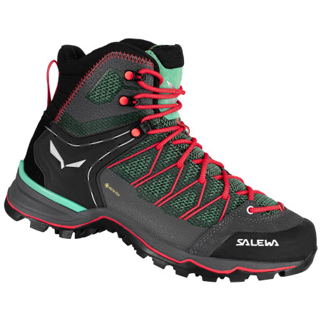 Damenschuhe Salewa Ws Mtn Trainer Lite Mid Gtx schwarz/grau