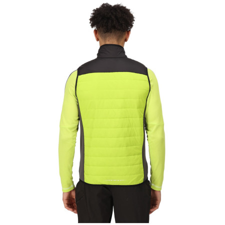 Herrenweste Regatta Halton BW VI