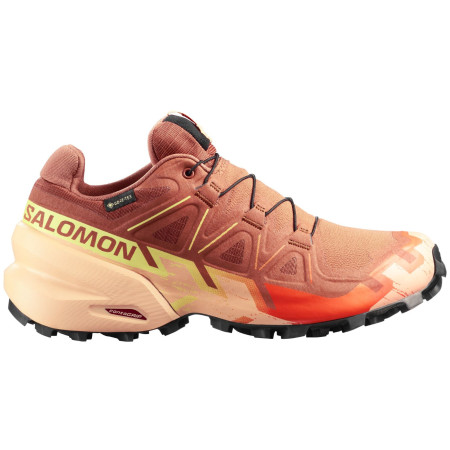 Damenschuhe Salomon Speedcross 6 Gore-Tex