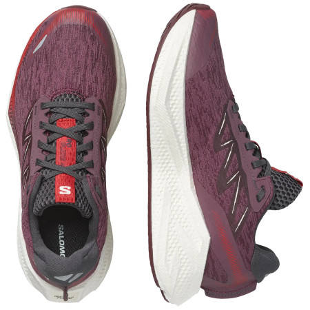 Damen Laufschuhe Salomon Aero Glide 4