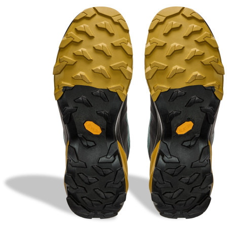 Herren Trekkingschuhe Dynafit Transalper 2