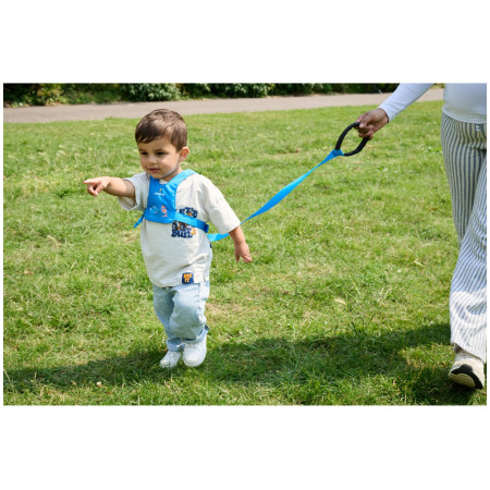 Kleinkind-Geschirr LittleLife Toddler Reins Triceratops