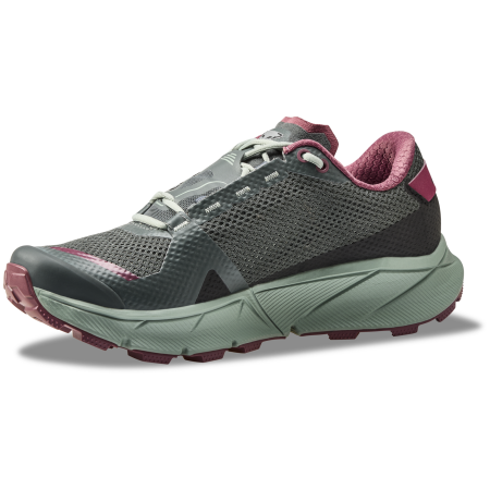 Damen Laufschuhe Dynafit Ultra 100 Gtx W