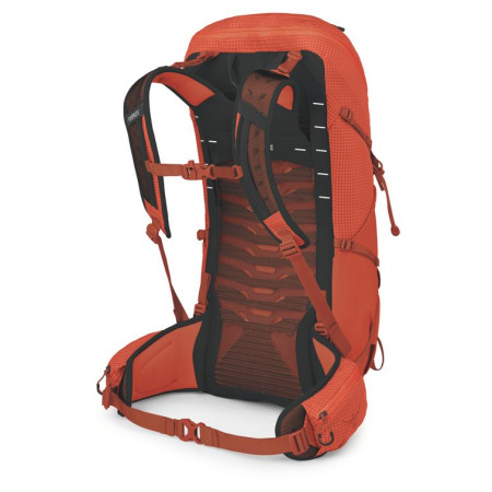 Wanderrucksack Osprey Talon Pro 30