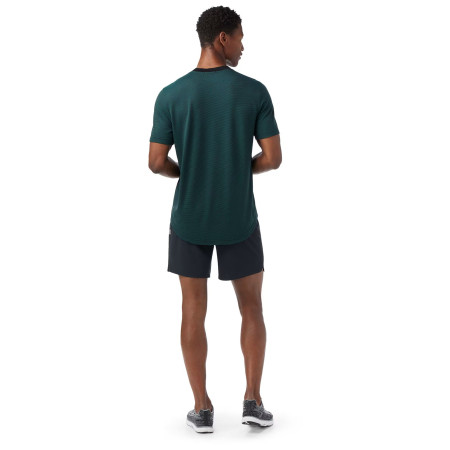 Herren-T-Shirt Smartwool M Active Mesh Short Sleeve