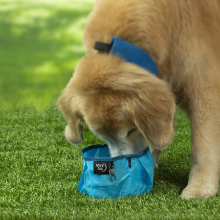 Hundenapf Nite Ize Raddog Bowl