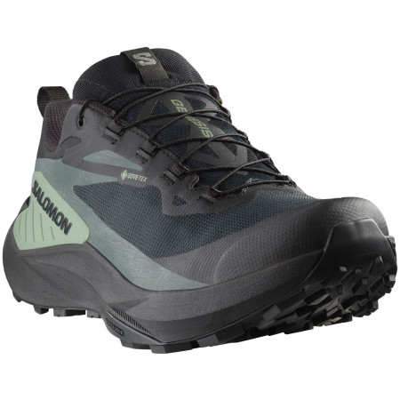 Herrenschuhe Salomon Genesis Gore-Tex