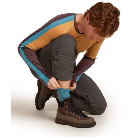 Socken Icebreaker Men Merino Hike+ Heavy Crew