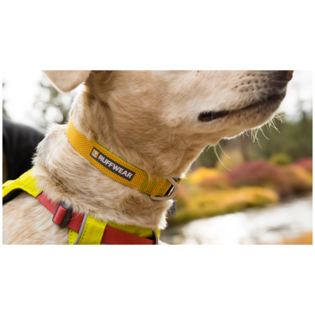 Hundehalsband Ruffwear Hi & Light™ Collar