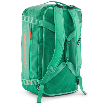 Reisetasche Patagonia Black Hole Duffel 55L
