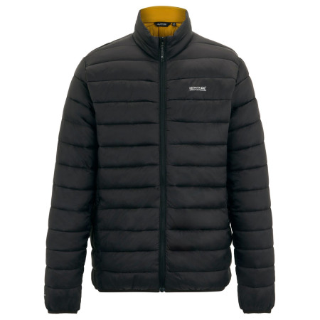 Herren-Steppjacke Regatta Marizion schwarz/braun Blk(WoodBrn)