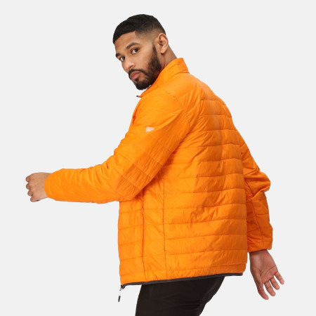 Herrenjacke Regatta Hillpack