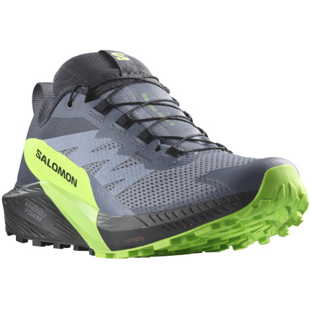 Herren Laufschuhe Salomon Sense Ride 5 Gore-Tex grau Flint Stone / Black / Green Gecko