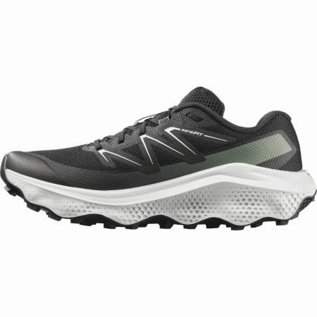 Herrenschuhe Salomon Ultra Flow 2