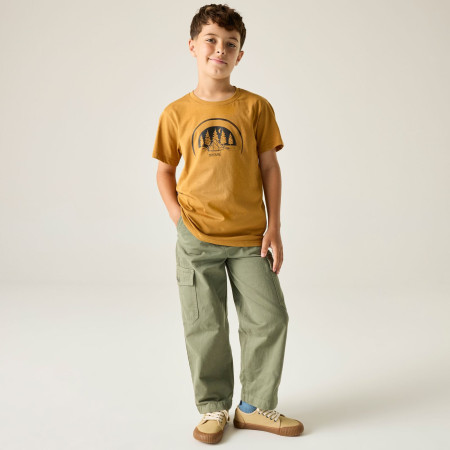 Kinder-T-Shirt Regatta Bosley Wood Brown