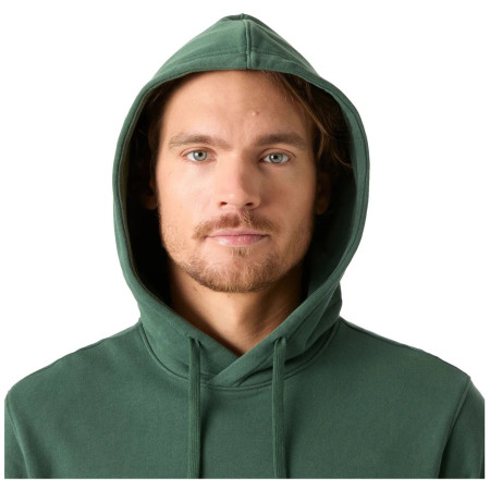 Herren-Sweatshirt Helly Hansen Core Graphic Hoodie