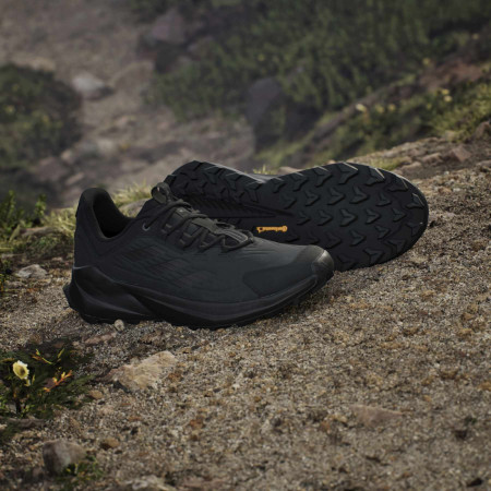 Wanderschuhe Adidas Terrex Trailmaker 2 Leather