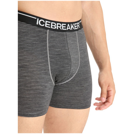 Herren-Boxershorts Icebreaker Mens Anatomica Boxers