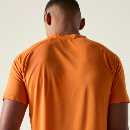 Herren-T-Shirt Dare 2b Tech II Tee
