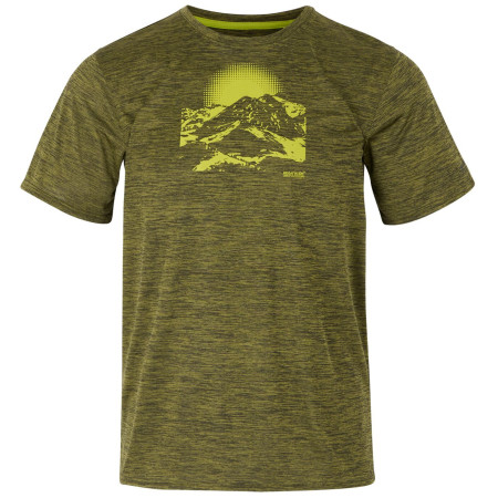 Herren-T-Shirt Regatta Fingal IX dunkelgrün NephrtGrnMrl