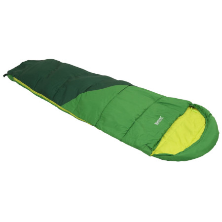 Schlafsack Regatta Hilo v2 250 grün ExtGrn/Green