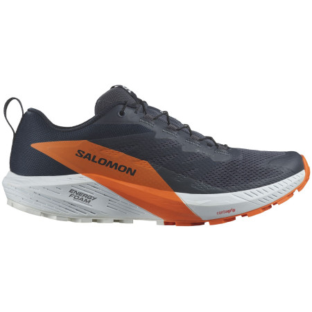 Herren Laufschuhe Salomon Sense Ride 5 Gore-Tex
