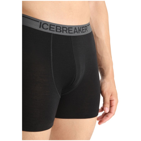 Herren-Boxershorts Icebreaker Mens Anatomica Boxers