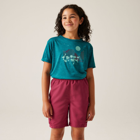 Kinder-T-Shirt Regatta Alvarado IX