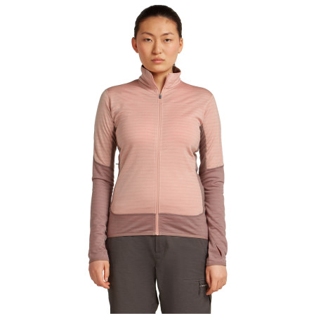 Damen Funktions-Sweatshirt Icebreaker Women Merino Blend 300 RealFleece™ Descender LS Zip