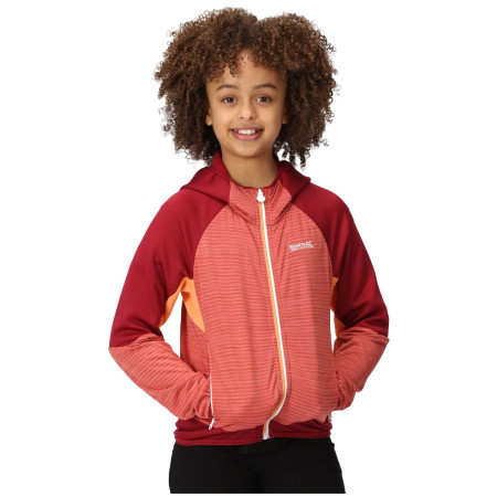 Kinder-Sweatshirt Regatta Prenton II