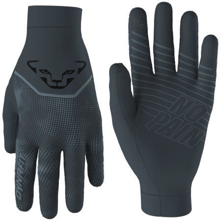 Handschuhe Dynafit Trail Reflective Gloves