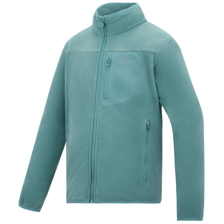 Kinder-Sweatshirt Regatta Junior Frankie F/Z Ivy Moss