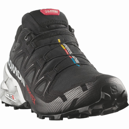 Herrenschuhe Salomon Speedcross 6 Gtx 20 Years